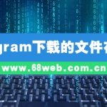 Telegram下载的文件在哪里