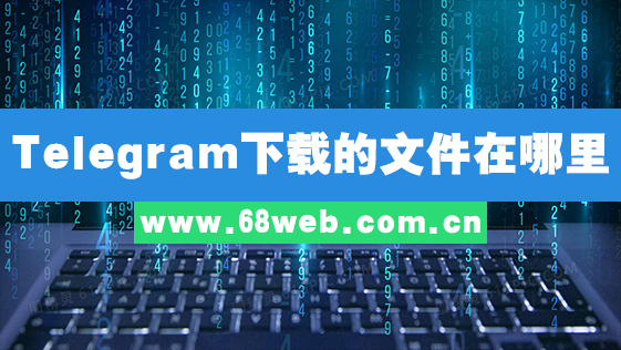 Telegram下载的文件在哪里